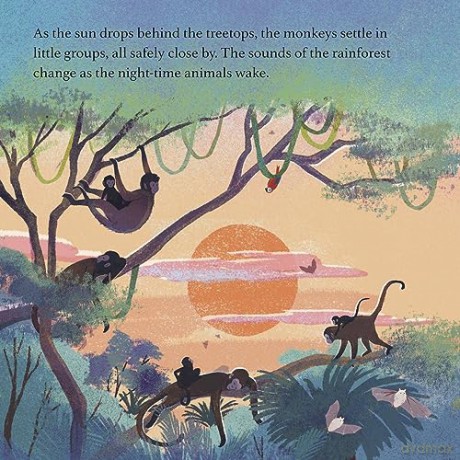 Little Monkey - Anne Rooney [KSIĄŻKA]
