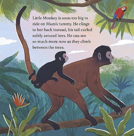 Little Monkey - Anne Rooney [KSIĄŻKA]