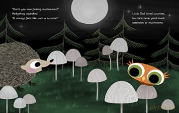 Little Owls Love - Divya Srinivasan [KSIĄŻKA]