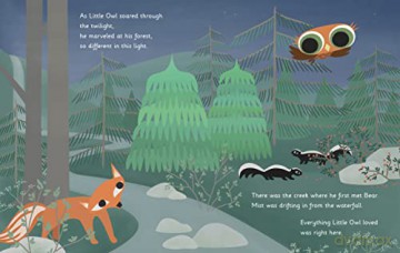 Little Owls Love - Divya Srinivasan [KSIĄŻKA]