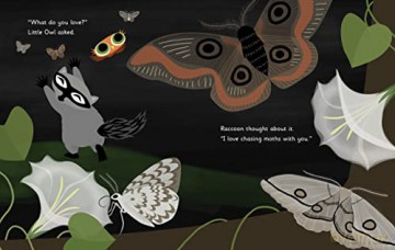 Little Owls Love - Divya Srinivasan [KSIĄŻKA]