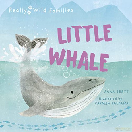 Little Whale - Anna Brett [KSIĄŻKA]