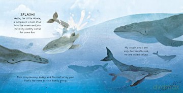 Little Whale - Anna Brett [KSIĄŻKA]