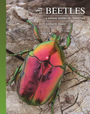 Lives Of Beetles - Arthur V. Evans [KSIĄŻKA]