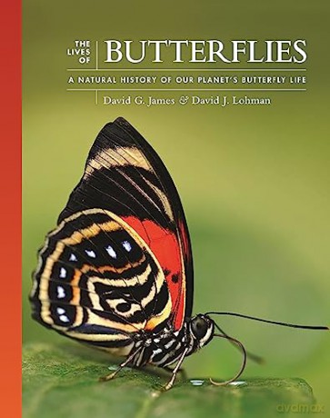 Lives Of Butterflies - David G. James [KSIĄŻKA]