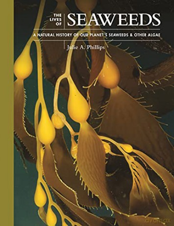 Lives Of Seaweeds - Julie A Phillips [KSIĄŻKA]