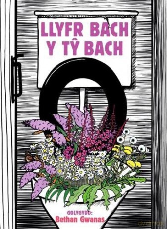 Llyfr Bach Y T Bach [KSIĄŻKA]