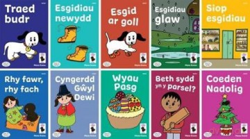 Llyfrau Hwyl Magi Ann Cam Dicw - Mena Evans [KSIĄŻKA]