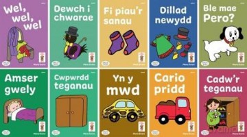 Llyfrau Hwyl Magi Ann Cam Tedi - Mena Evans [KSIĄŻKA]