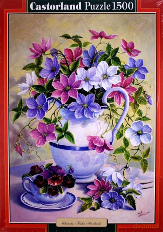 CASTOR 1500 Copy of: Clematis, Trisha Hardwick C-151189 [PUZZLE]