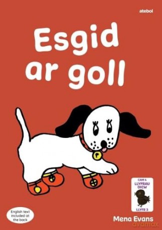 Llyfrau Hwyl Magi Ann Esgid Ar Goll - Mena Evans [KSIĄŻKA]