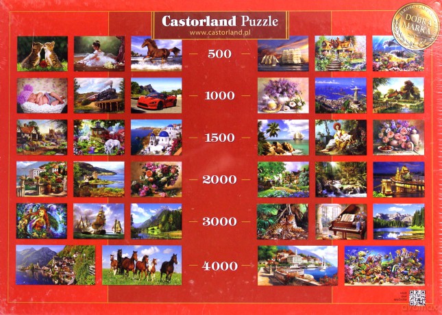CASTOR 1500 Copy of: Roses in a Vase in a Porcelain Bowl... C-151202-2 [PUZZLE]