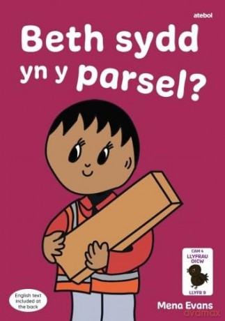 Llyfrau Hwyl/Ann Beth Sydd Yn Y Parcel - Mena Evans [KSIĄŻKA]