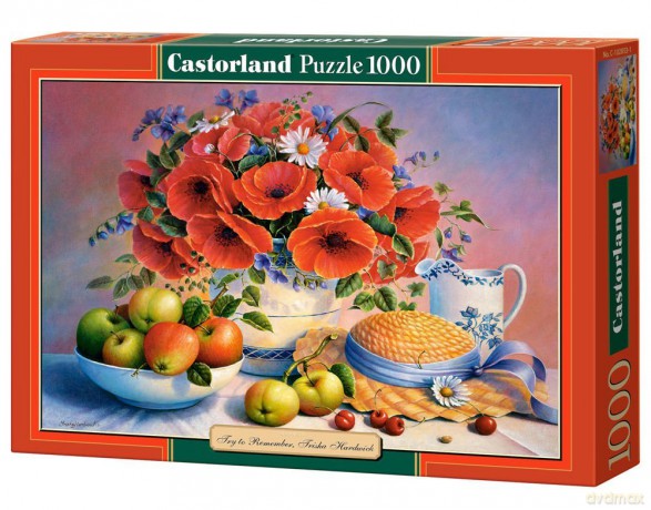 CASTOR 1000 Copy of: Try to Remember C-102853 [PUZZLE]