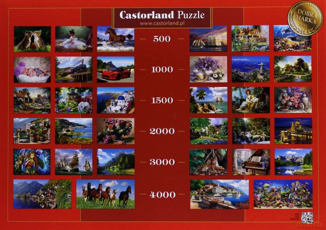 CASTOR 1000 Copy of: Try to Remember C-102853 [PUZZLE]