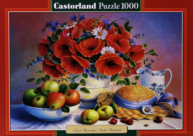 CASTOR 1000 Copy of: Try to Remember C-102853 [PUZZLE]