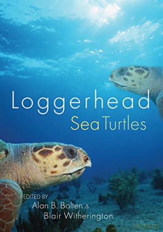 Loggerhead Sea Turtles - Alan Bolten [KSIĄŻKA]