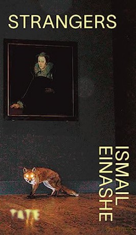 Look Again Strangers - Ismail Einashe [KSIĄŻKA]