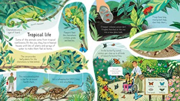 Look Inside A Zoo - Minna Lacey [KSIĄŻKA]