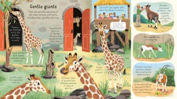 Look Inside A Zoo - Minna Lacey [KSIĄŻKA]
