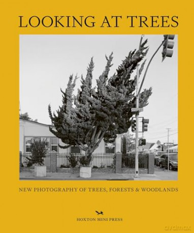 Looking At Trees - Hoxton Mini Press [KSIĄŻKA]