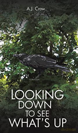 Looking Down To See Whats Up - A.J. Crow [KSIĄŻKA]