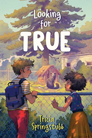 Looking For True - Tricia Springstubb [KSIĄŻKA]
