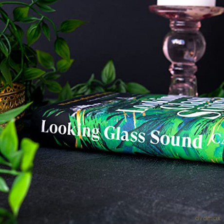 Looking Glass Sound - Catriona Ward [KSIĄŻKA]