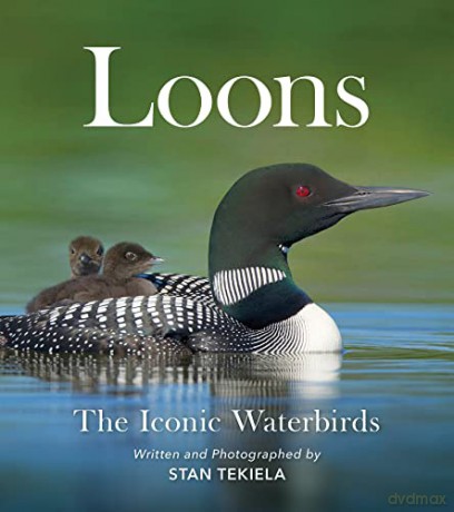 Loons - Stan Tekiela [KSIĄŻKA]