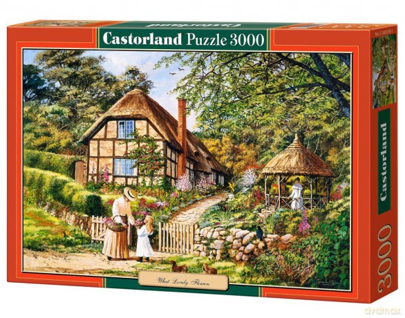 CASTOR 3000 Copy of: What Lovely Flowers C-300358 [PUZZLE]