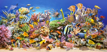 CASTOR 4000 Underwater Life C-400089 [PUZZLE]
