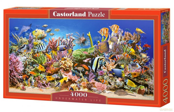 CASTOR 4000 Underwater Life C-400089 [PUZZLE]