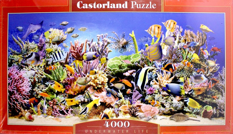CASTOR 4000 Underwater Life C-400089 [PUZZLE]