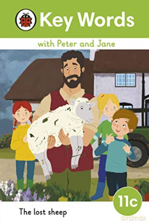 Lost Sheep Level 11c - Ladybird [KSIĄŻKA]