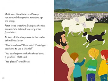 Lost Sheep Level 11c - Ladybird [KSIĄŻKA]