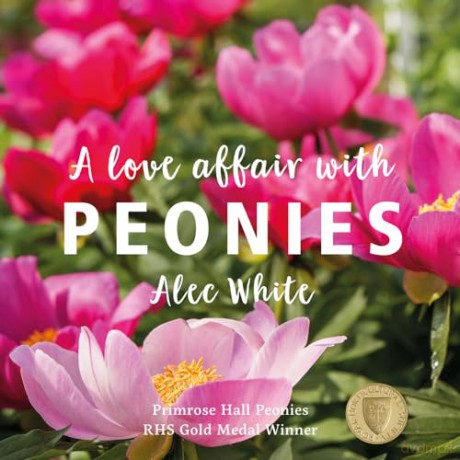 Love Affair With Peonies - Alec White [KSIĄŻKA]