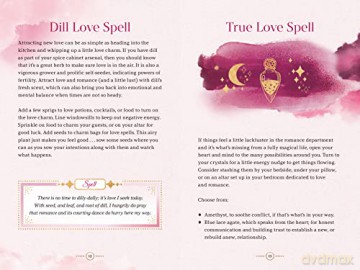 Love Spells - Minerva Radcliffe [KSIĄŻKA]