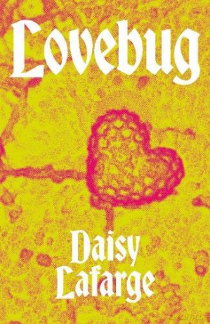 Lovebug - Daisy Lafarge [KSIĄŻKA]