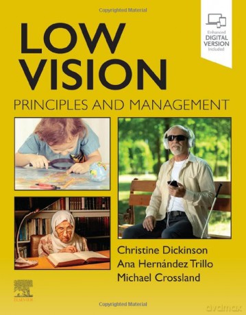 Low Vision - Christine Dickinson [KSIĄŻKA]