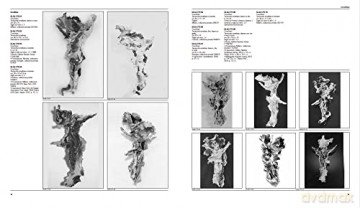 Lucio Fontana Catalogue Raisonn - Luca Massimo Barbero [KSIĄŻKA]