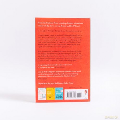 Lucy By The Sea - Elizabeth Strout [KSIĄŻKA]