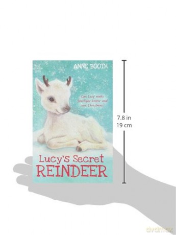 Lucys Secret Reindeer - Anne Booth [KSIĄŻKA]