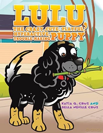 Lulu The Crazy Cute Playful Hyperactive - Katia Q. Cruz [KSIĄŻKA]