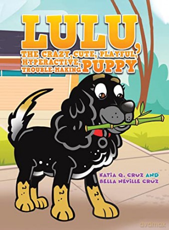 Lulu The Crazy Cute Playful Hyperactive - Katia Q. Cruz [KSIĄŻKA]