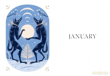 Lunar Year - Alison Davies [KSIĄŻKA]