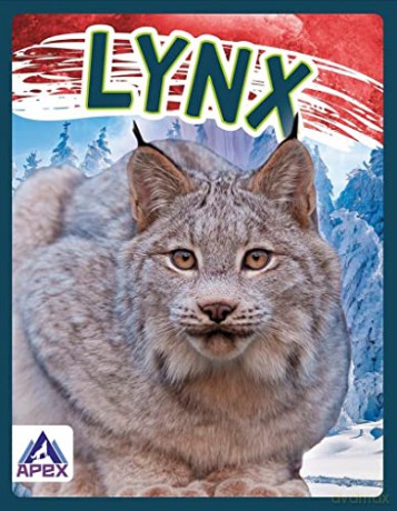Lynx - Sophi Geister-Jones [KSIĄŻKA]