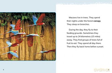 Macaws - Jaclyn Jaycox [KSIĄŻKA]