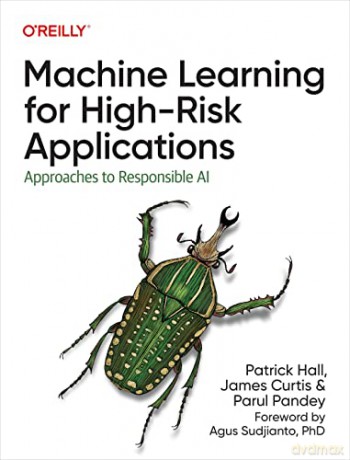 Machine Learning For High Risk Applicatn - Patrick Et Al Hall [KSIĄŻKA]