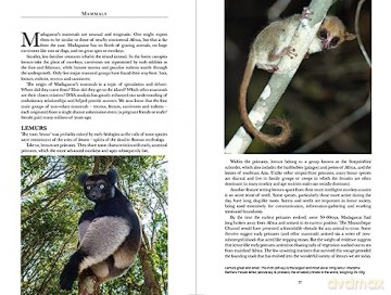 Madagascar Wildlife - Nick Garbutt [KSIĄŻKA]