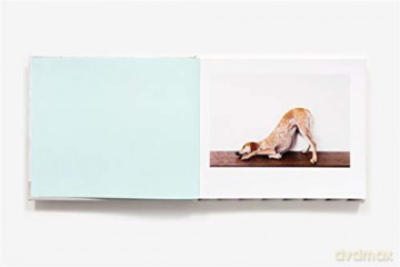 Maddie Lounging On Things - Theron Humphrey [KSIĄŻKA]